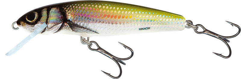 Salmo Minnow 6cm Floating Lures