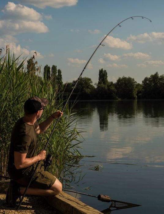 The Angler's Guide: How to Choose a Carp Rod