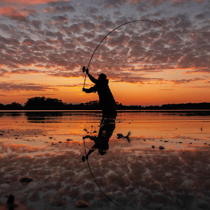 What is the Best Rig for Carp Fishing in Silt?