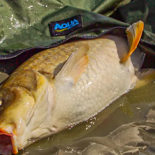 The Best Unhooking Mats For Carp Fishing