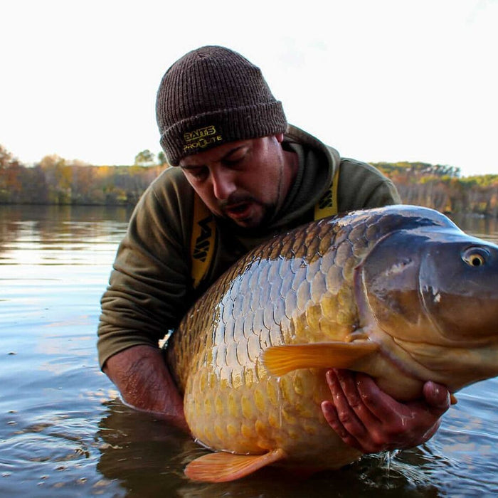 Advanced Techniques for Enhancing Zig Rigs