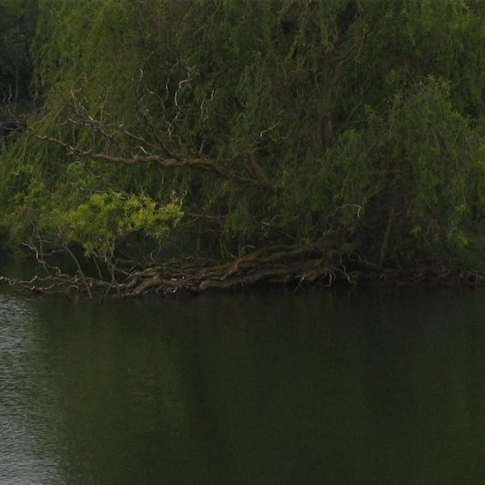 Fishing After The Winter Freeze