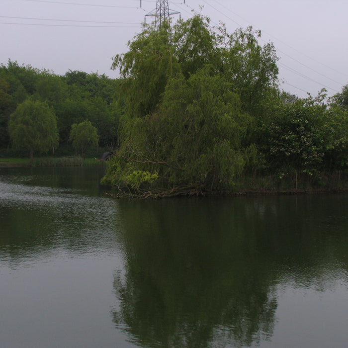 Fishing Kevin Nash's Church Lake Part 2