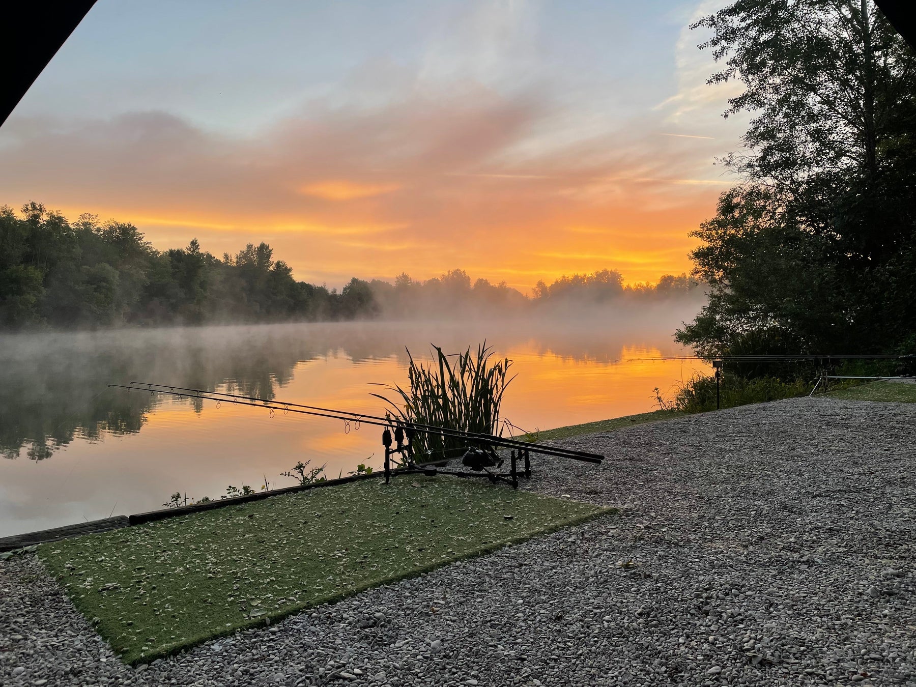 How to Catch Carp in Autumn