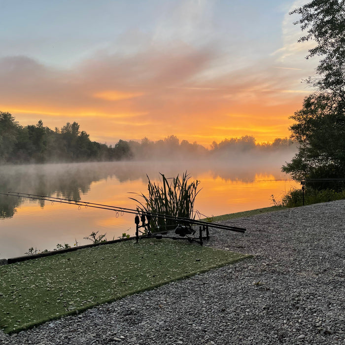 How to Catch Carp in Autumn