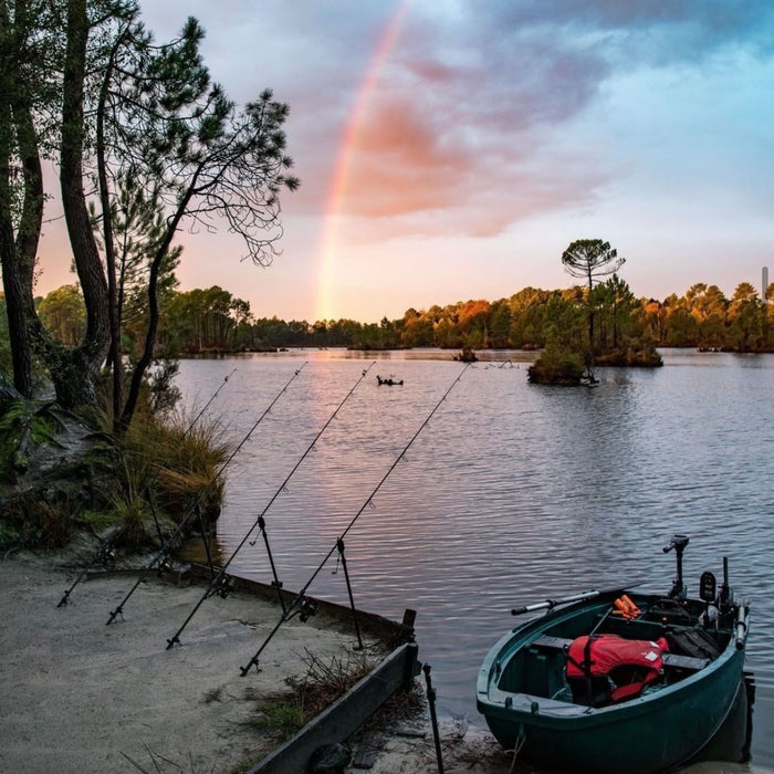 Carp Fishing in Spring