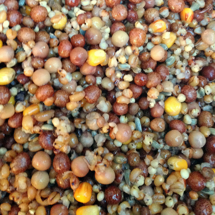 Cooked Particles, Hemp, Maize, Spod & Milky Zig Boat Spod mix