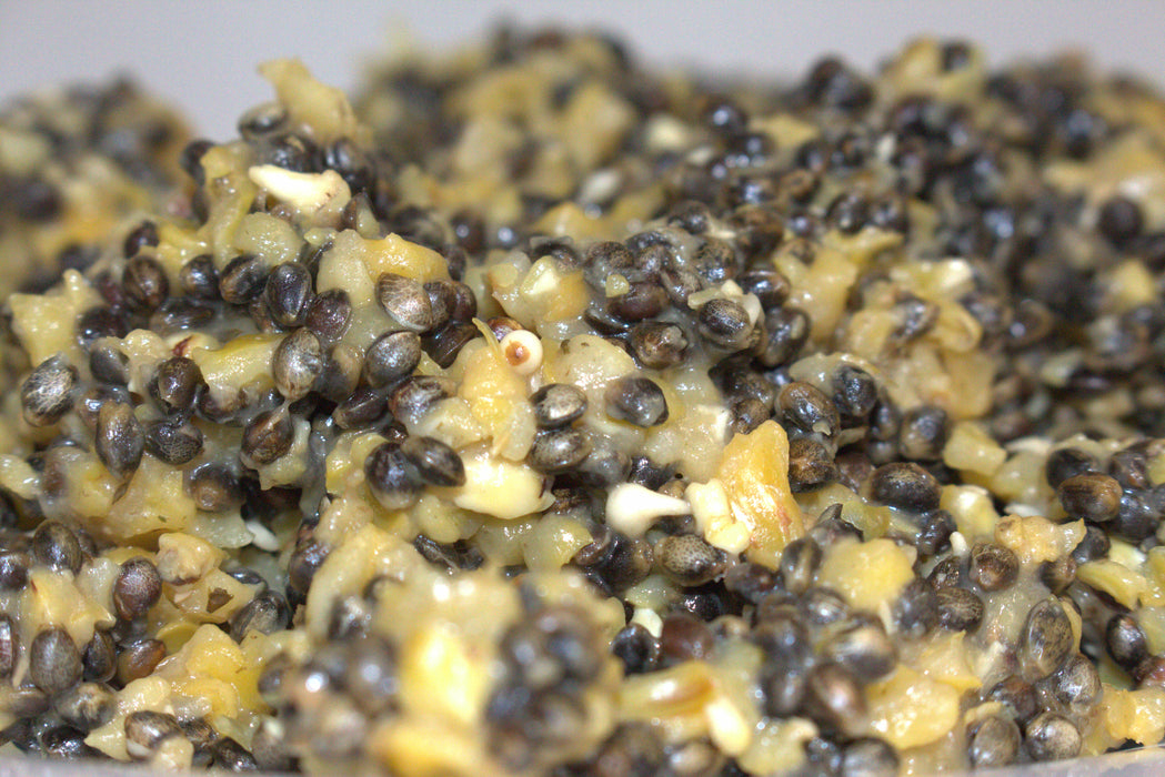 Apex Baits Hemp & Cut Corn/Maize Spod Mix