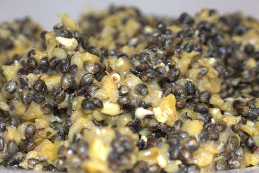 Apex Baits Hemp & Cut Corn/Maize Spod Mix