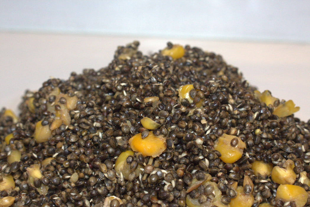 Cooked Hemp & Maize