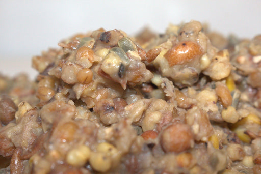 Apex Baits High Protein Maple Maize Spod or Bait Boat Mix