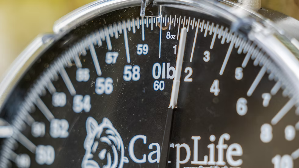 CarpLife 60lb RH Scales With Scales Pouch