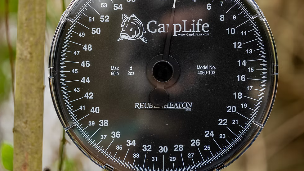 CarpLife 60lb RH Scales With Scales Pouch