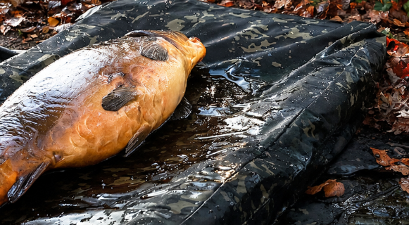 CarpLife Eclipse Camo Elite MF Combi Mat