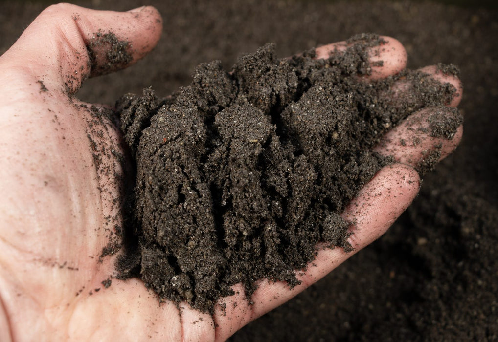 DNA Baits Crayfish Heavy Bag & Feeder Bag Mix