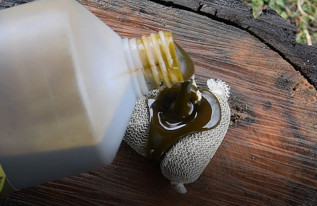 Dynamite Baits Premium Worm Liquid Carp Food