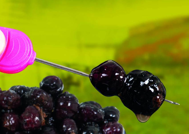 Dynamite Baits Frenzied Black Tiger Nuts Boosted Hookbaits 500ml