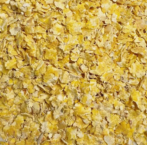 Apex Baits Flaked Maize