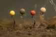 Korda Artificial Pop Ups