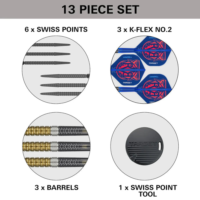 Target Darts Raymond Van Barneveld G6 SP Darts 23g